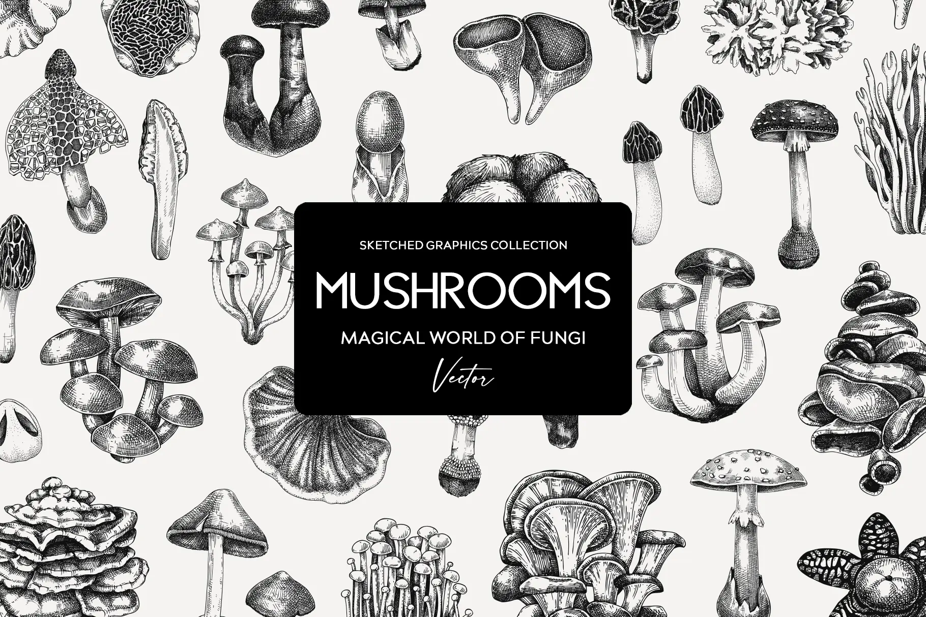 Mushroom Sketches Set. Hand-drawn vector illustrations. Vol.2 Illustration